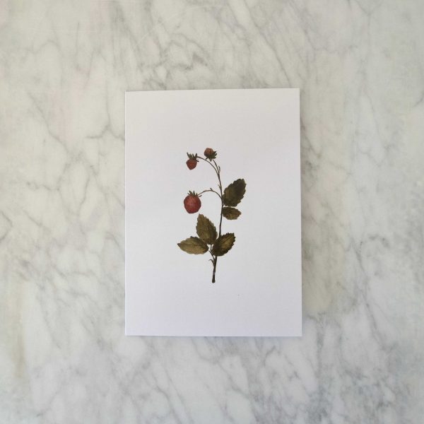"Gilded Cards" - Strawberry Print