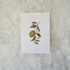 “Gilded Cards” – Lemon Print
