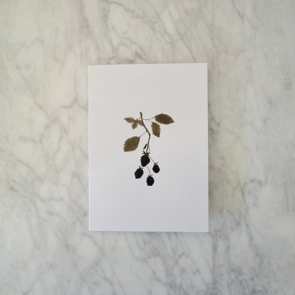 "Gilded Cards" - Blackberry Print