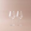 Tulipa Balloon Wine Glass