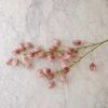 Lantern Flower Stem – Dusty Pink