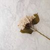 Hydrangea Stem – White