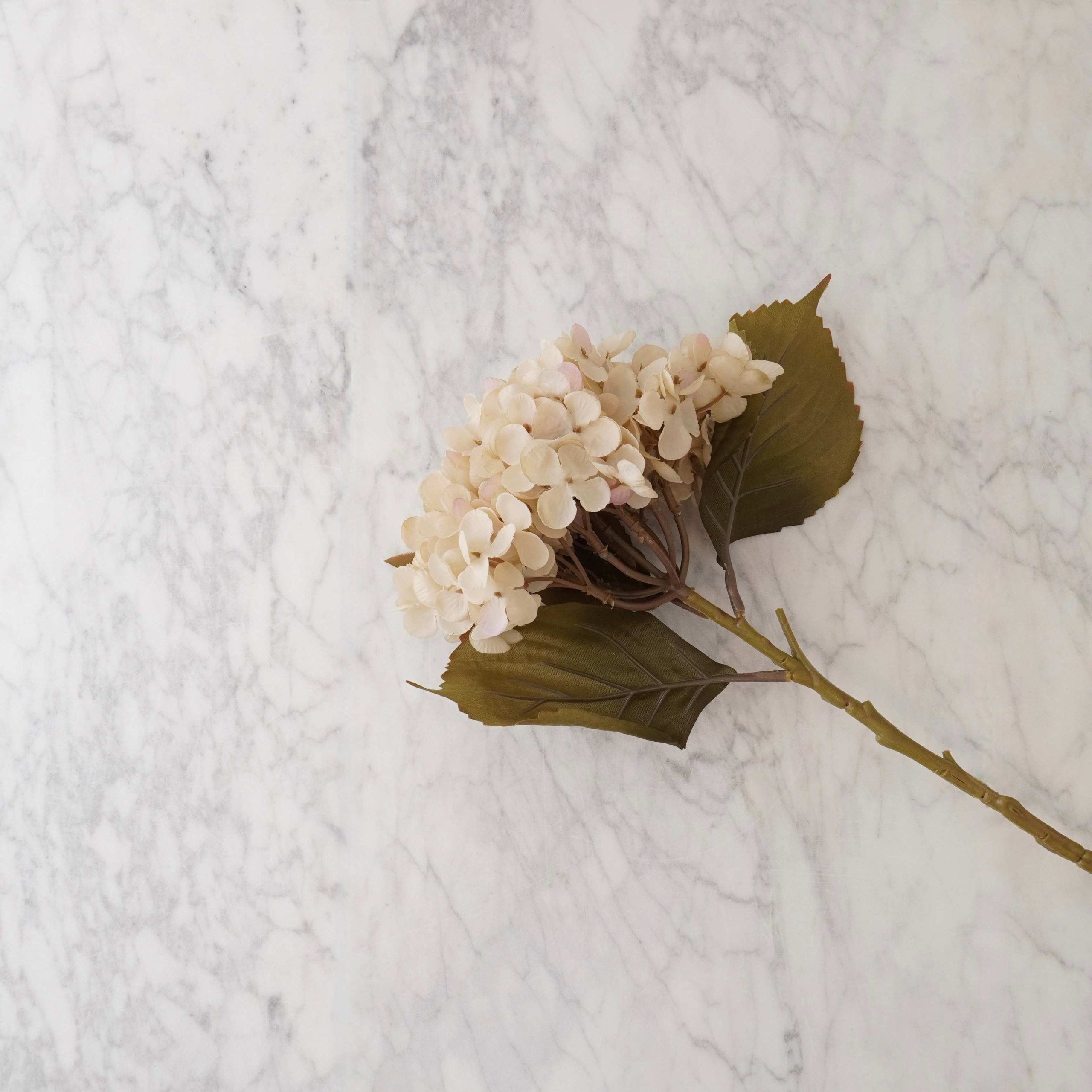 Hydrangea Stem – White