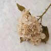 Hydrangea Stem – White