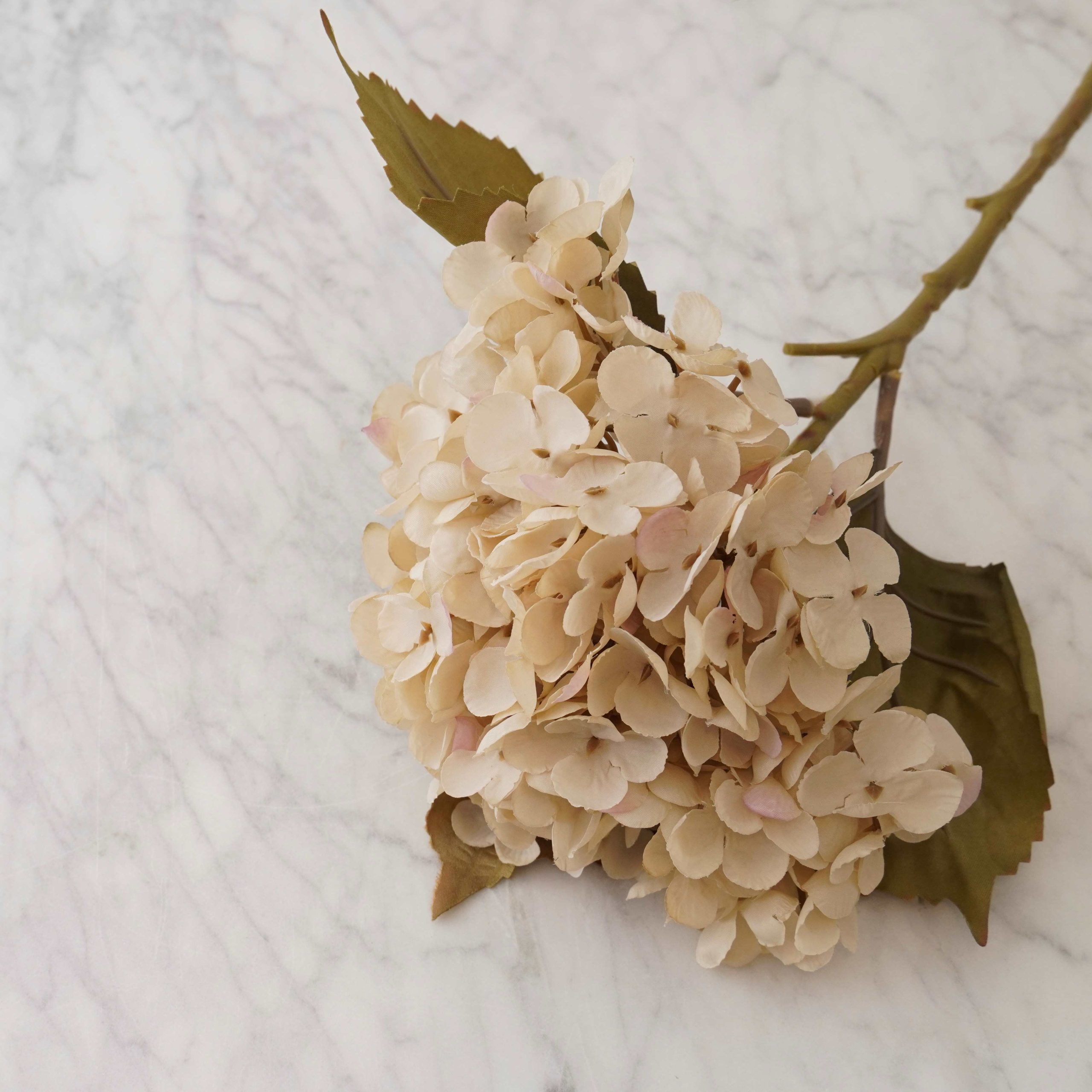 Hydrangea Stem – White