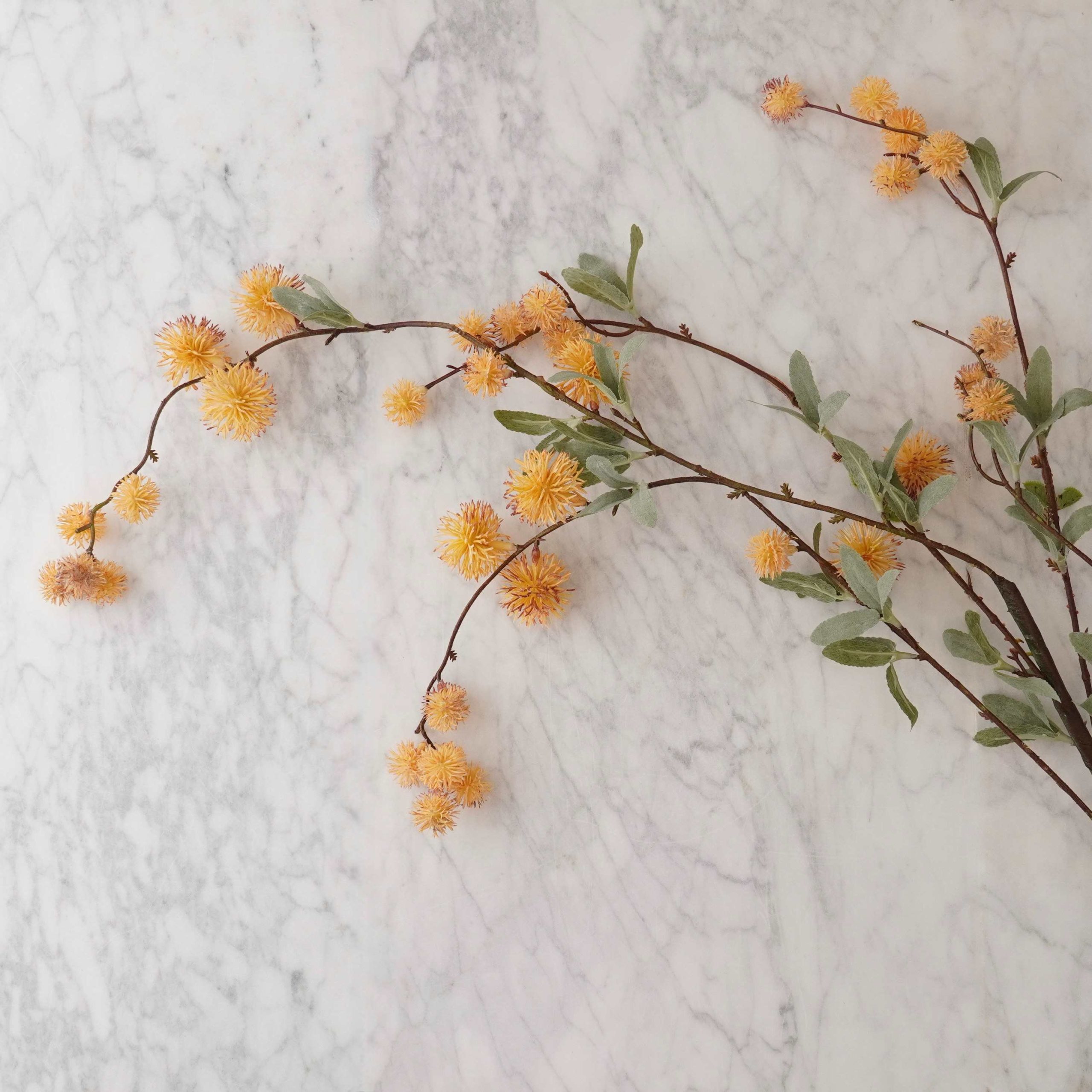 Golden Globe Flower Stem