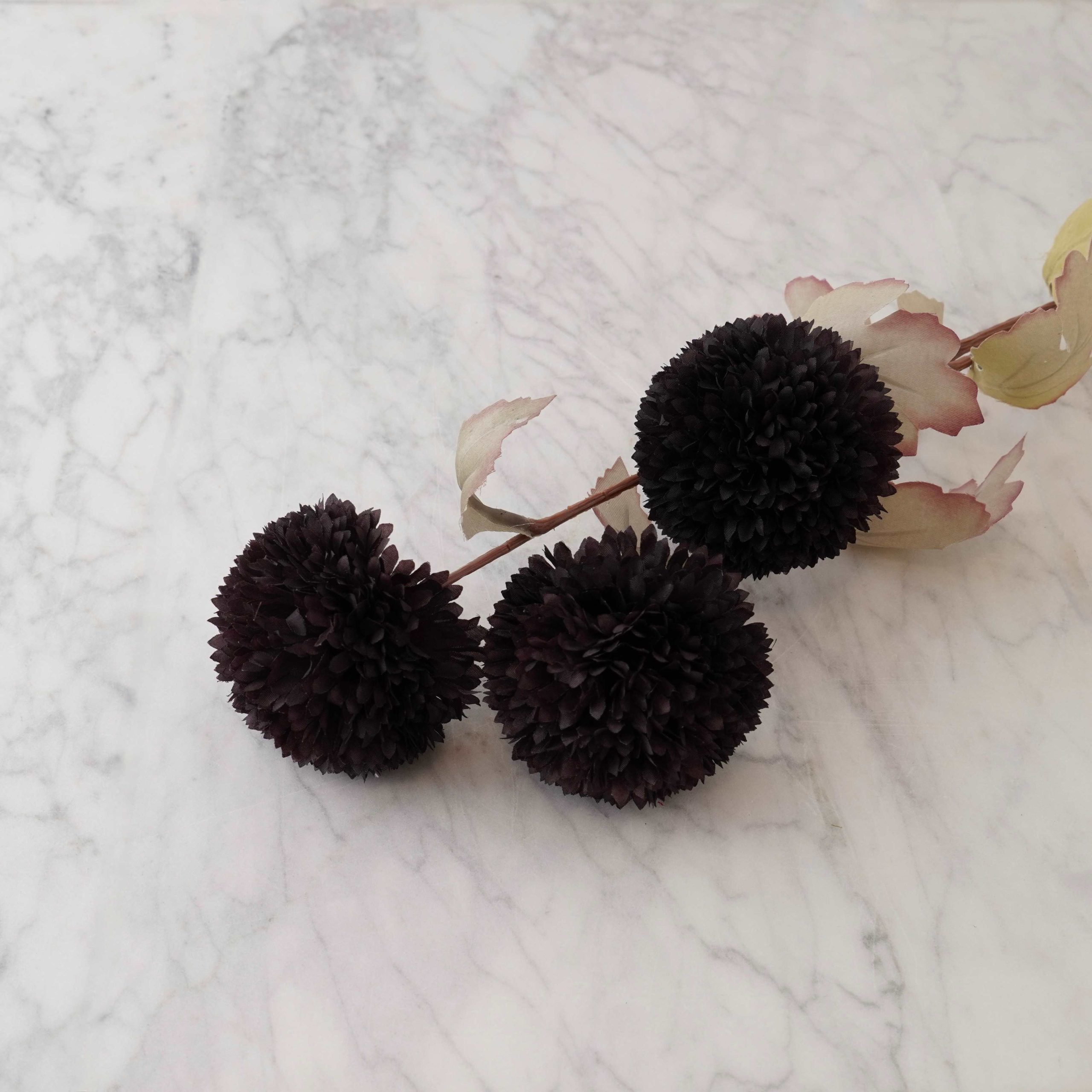 Pom Pom Floral Spray – Midnight