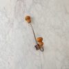 Garrett French Antique Wall Hook