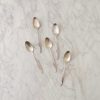 Maeve Vintage Silver Mini Spoons – Set of 5