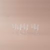 Luanne Vintage Liquor Glass – Set of 6