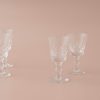 Luanne Vintage Liquor Glass – Set of 6